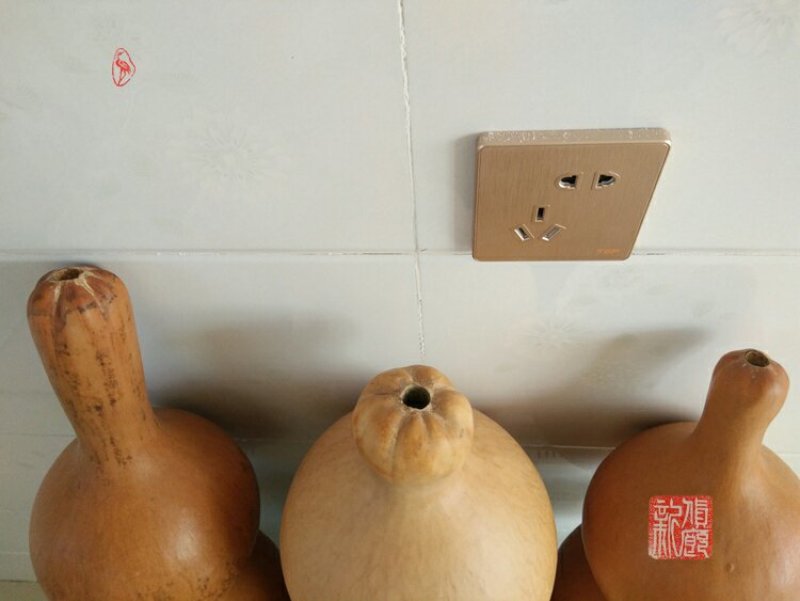 新货廊文玩葫芦种子超市，在售品种150余种，支持淘宝和微