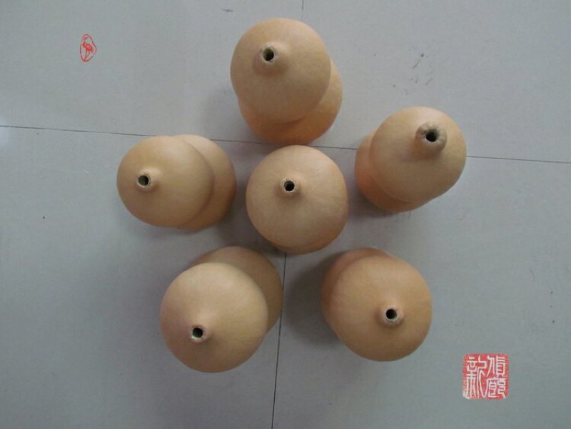 新货廊文玩葫芦种子超市，在售品种150余种，支持淘宝和微