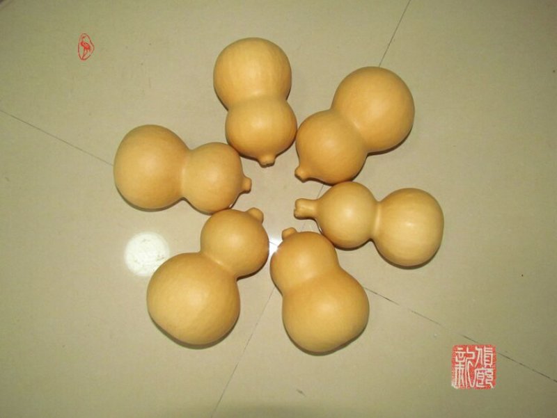 新货廊文玩葫芦种子超市，在售品种150余种，支持淘宝和微