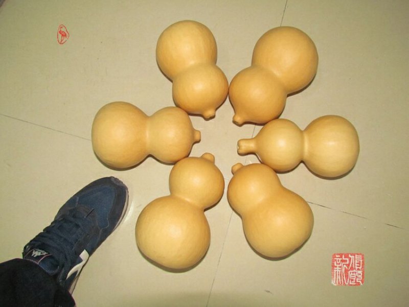 新货廊文玩葫芦种子超市，在售品种150余种，支持淘宝和微