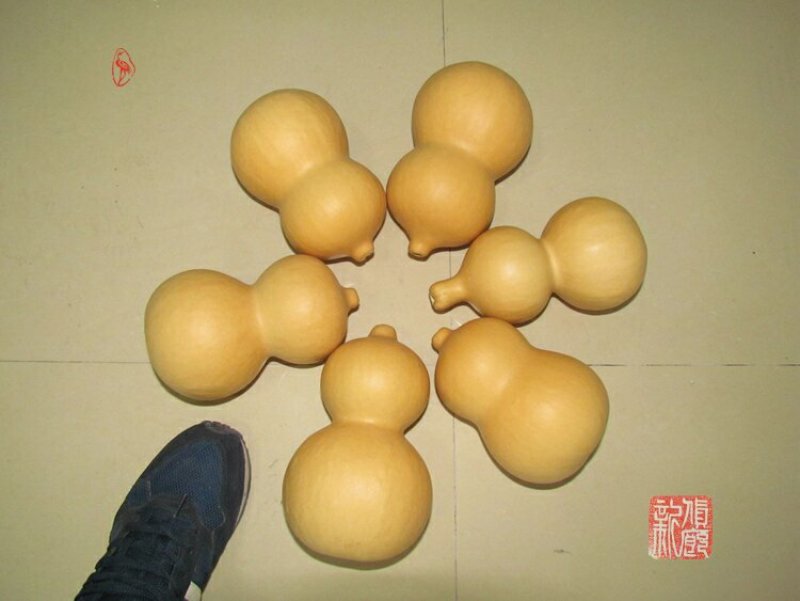 新货廊文玩葫芦种子超市，在售品种150余种，支持淘宝和微