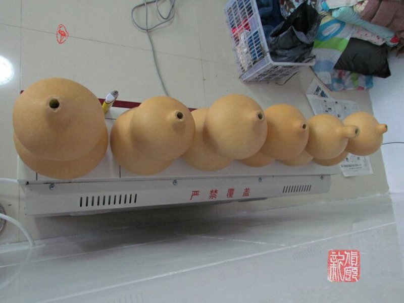 新货廊文玩葫芦种子超市，在售品种150余种，支持淘宝和微
