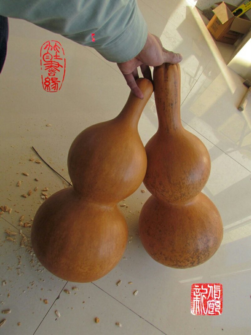 新货廊文玩葫芦种子超市，在售品种150余种，支持淘宝和微