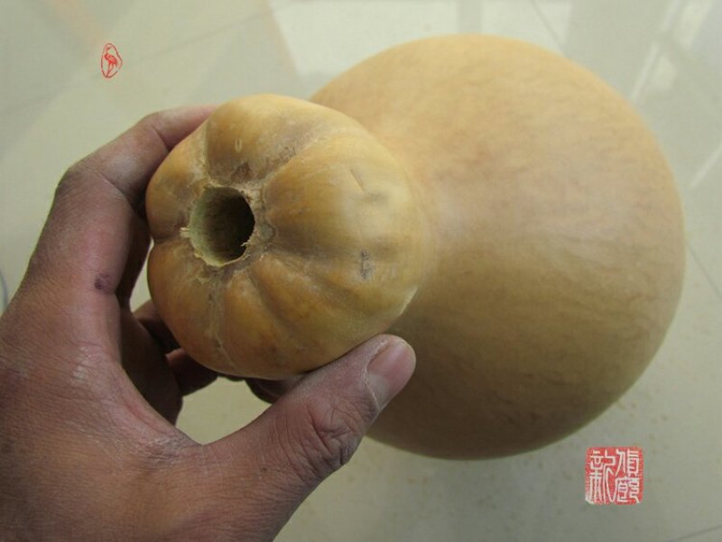 新货廊文玩葫芦种子超市，在售品种150余种，支持淘宝和微