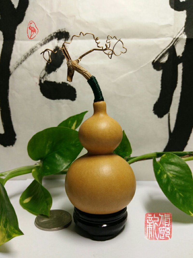 新货廊文玩葫芦种子超市，在售品种150余种，支持淘宝和微