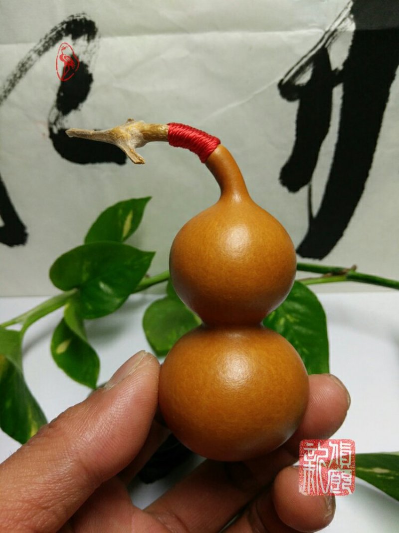 新货廊文玩葫芦种子超市，在售品种150余种，支持淘宝和微