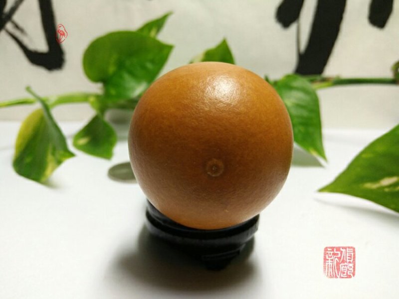 新货廊文玩葫芦种子超市，在售品种150余种，支持淘宝和微