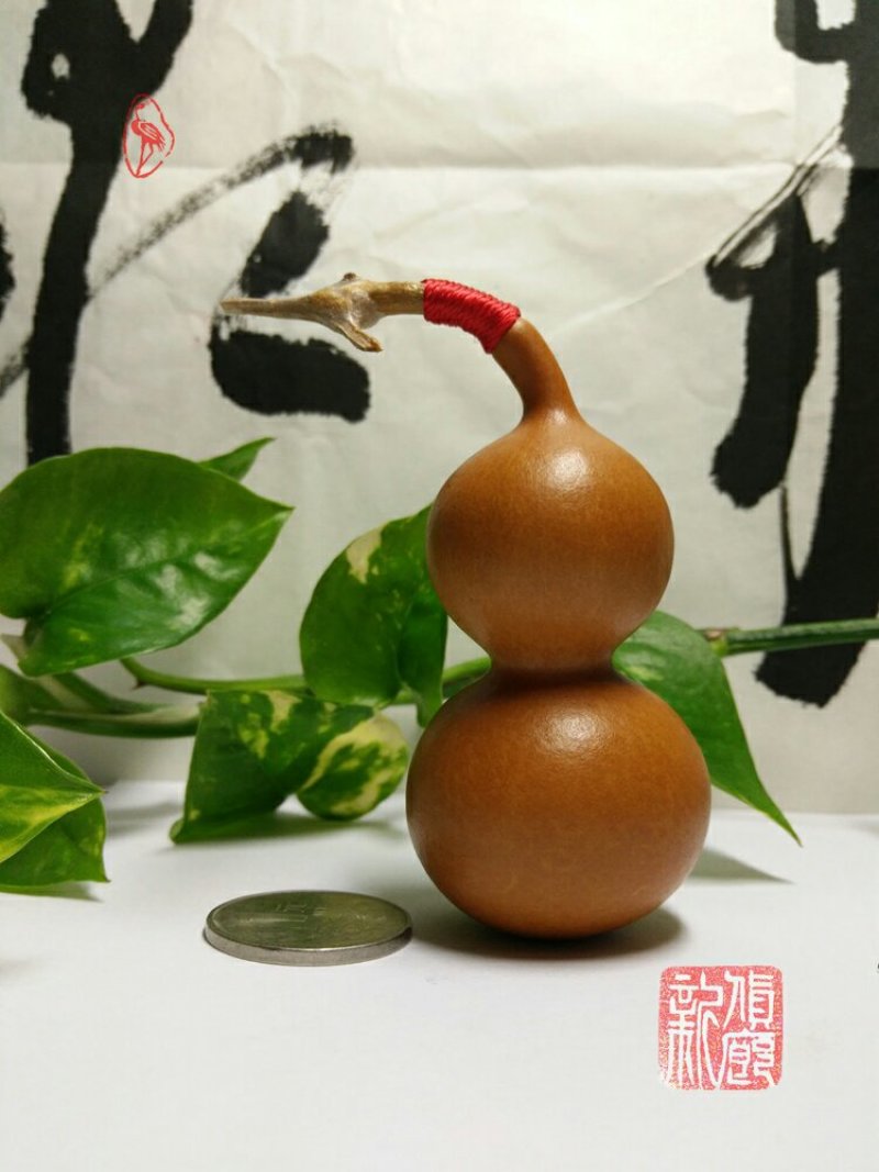 新货廊文玩葫芦种子超市，在售品种150余种，支持淘宝和微