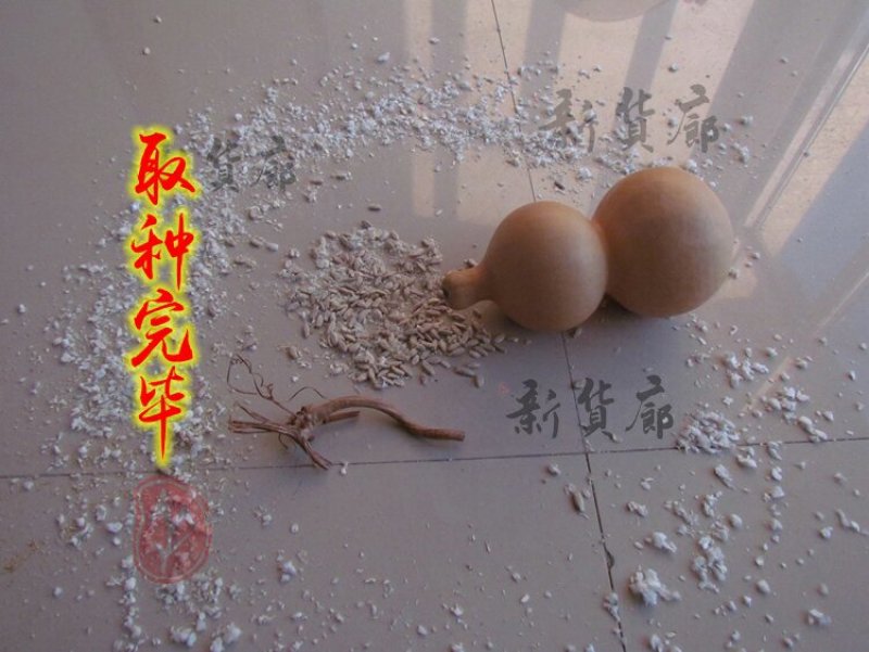 新货廊文玩葫芦种子超市，在售品种150余种，支持淘宝和微