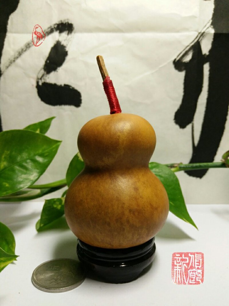 新货廊文玩葫芦种子超市，在售品种150余种，支持淘宝和微