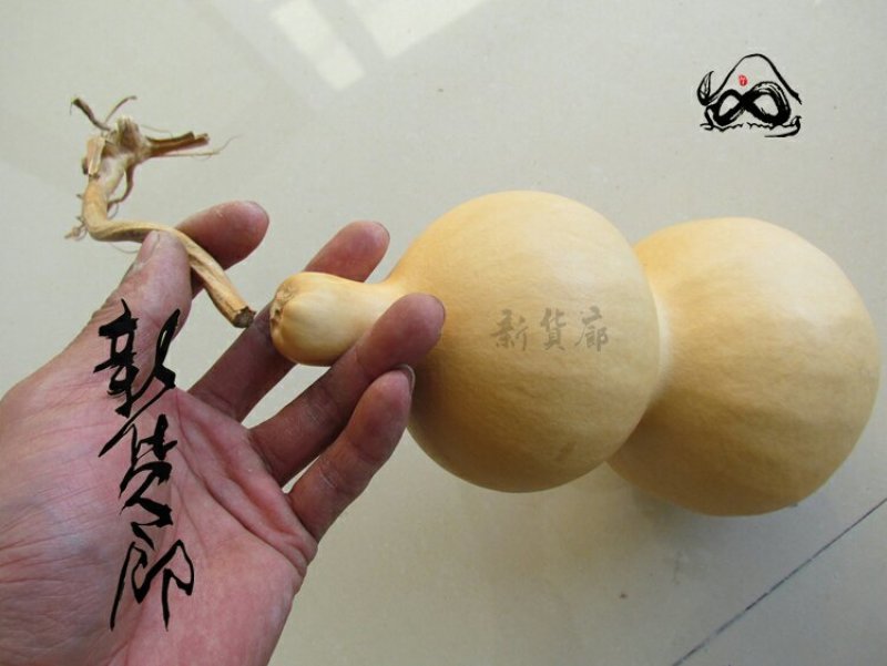 新货廊文玩葫芦种子超市，在售品种150余种，支持淘宝和微