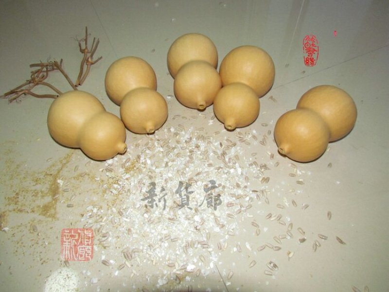 新货廊文玩葫芦种子超市，在售品种150余种，支持淘宝和微