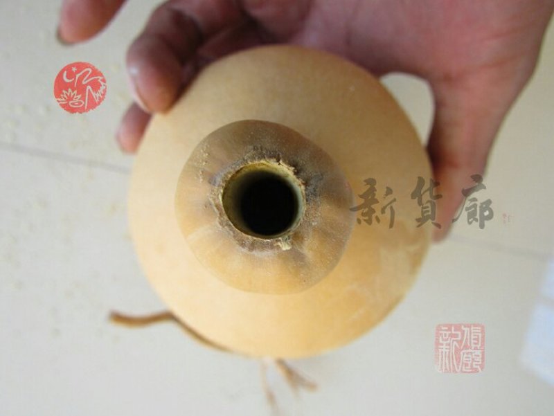 新货廊文玩葫芦种子超市，在售品种150余种，支持淘宝和微