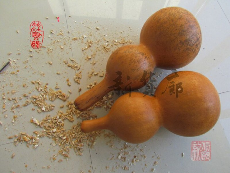 新货廊文玩葫芦种子超市，在售品种150余种，支持淘宝和微