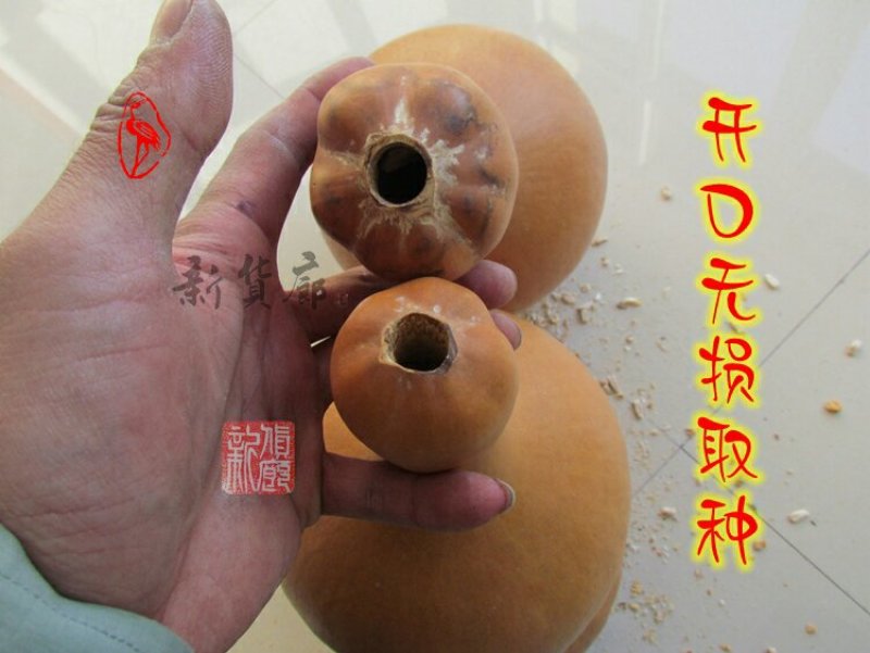 新货廊文玩葫芦种子超市，在售品种150余种，支持淘宝和微