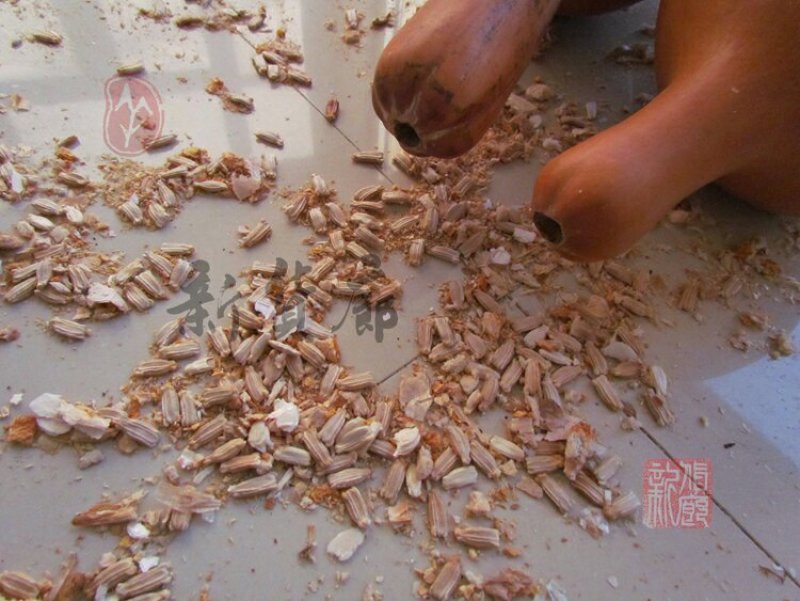 新货廊文玩葫芦种子超市，在售品种150余种，支持淘宝和微