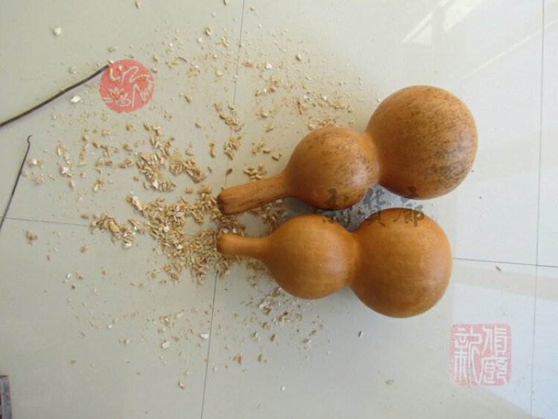 新货廊文玩葫芦种子超市，在售品种150余种，支持淘宝和微