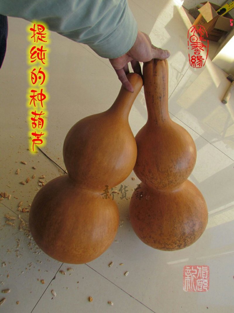 新货廊文玩葫芦种子超市，在售品种150余种，支持淘宝和微
