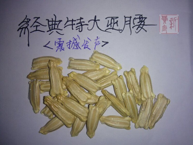 新货廊文玩葫芦种子超市，在售品种150余种，支持淘宝和微