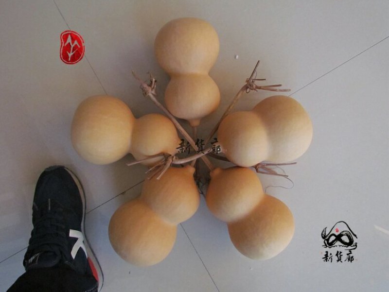 新货廊文玩葫芦种子超市，在售品种150余种，支持淘宝和微
