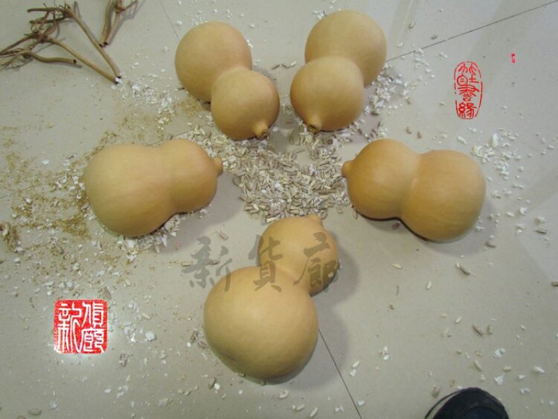新货廊文玩葫芦种子超市，在售品种150余种，支持淘宝和微
