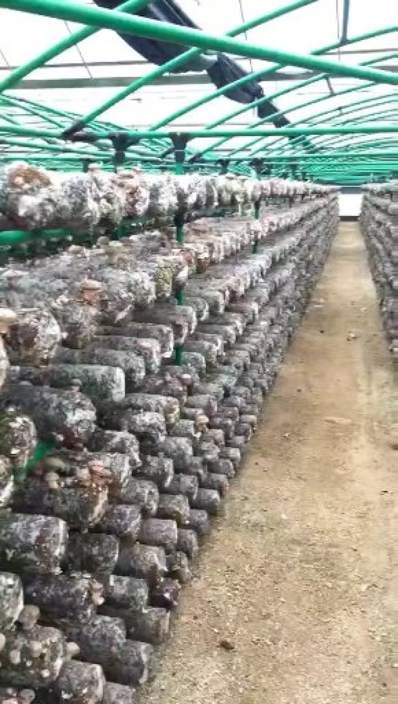天津成套大棚骨架配件及覆盖设计厂家直销质量保证