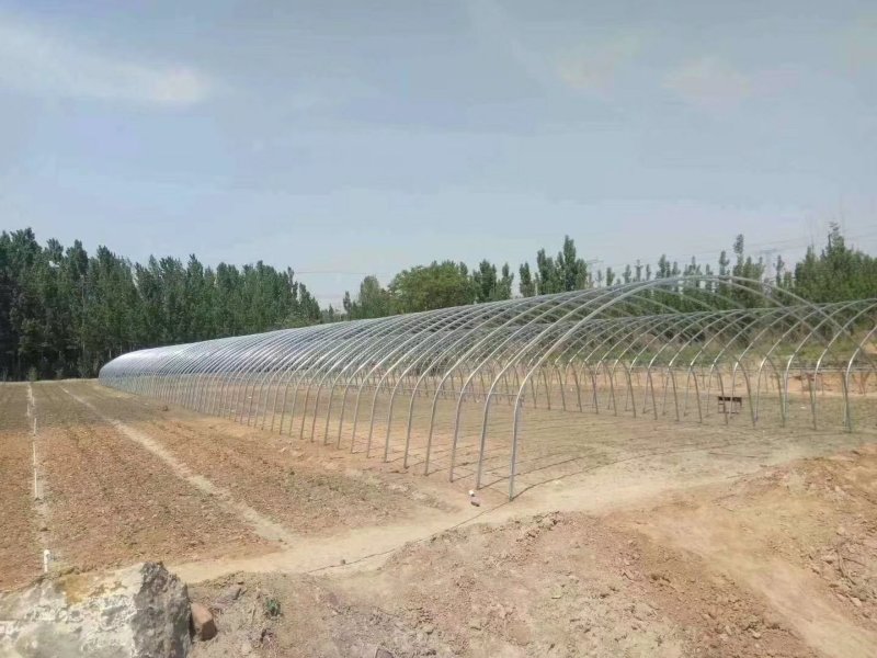 天津成套大棚骨架配件及覆盖设计厂家直销质量保证