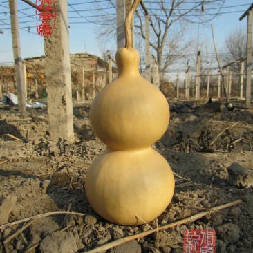 新货廊文玩葫芦种子超市，在售品种150余种，支持淘宝和微