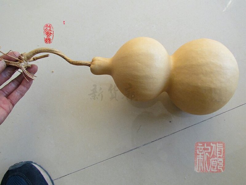 新货廊文玩葫芦种子超市，在售品种150余种，支持淘宝和微