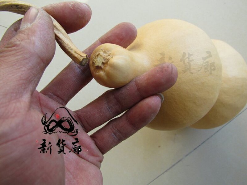 新货廊文玩葫芦种子超市，在售品种150余种，支持淘宝和微