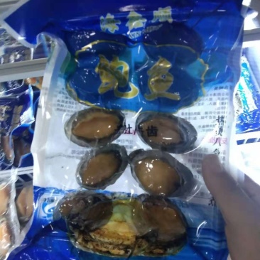 鲍鱼