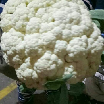 优质松花出库！价格不高！！