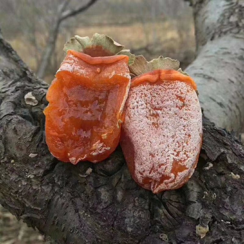 陕西富平柿饼四枚试吃包邮一件代发