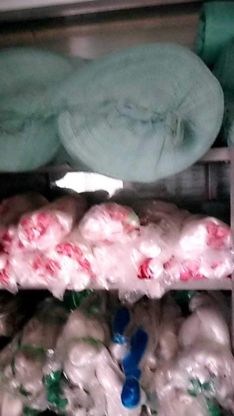 本公司常年供应销售批养殖网防逃网渔网鸡鸭鹅网规格齐全