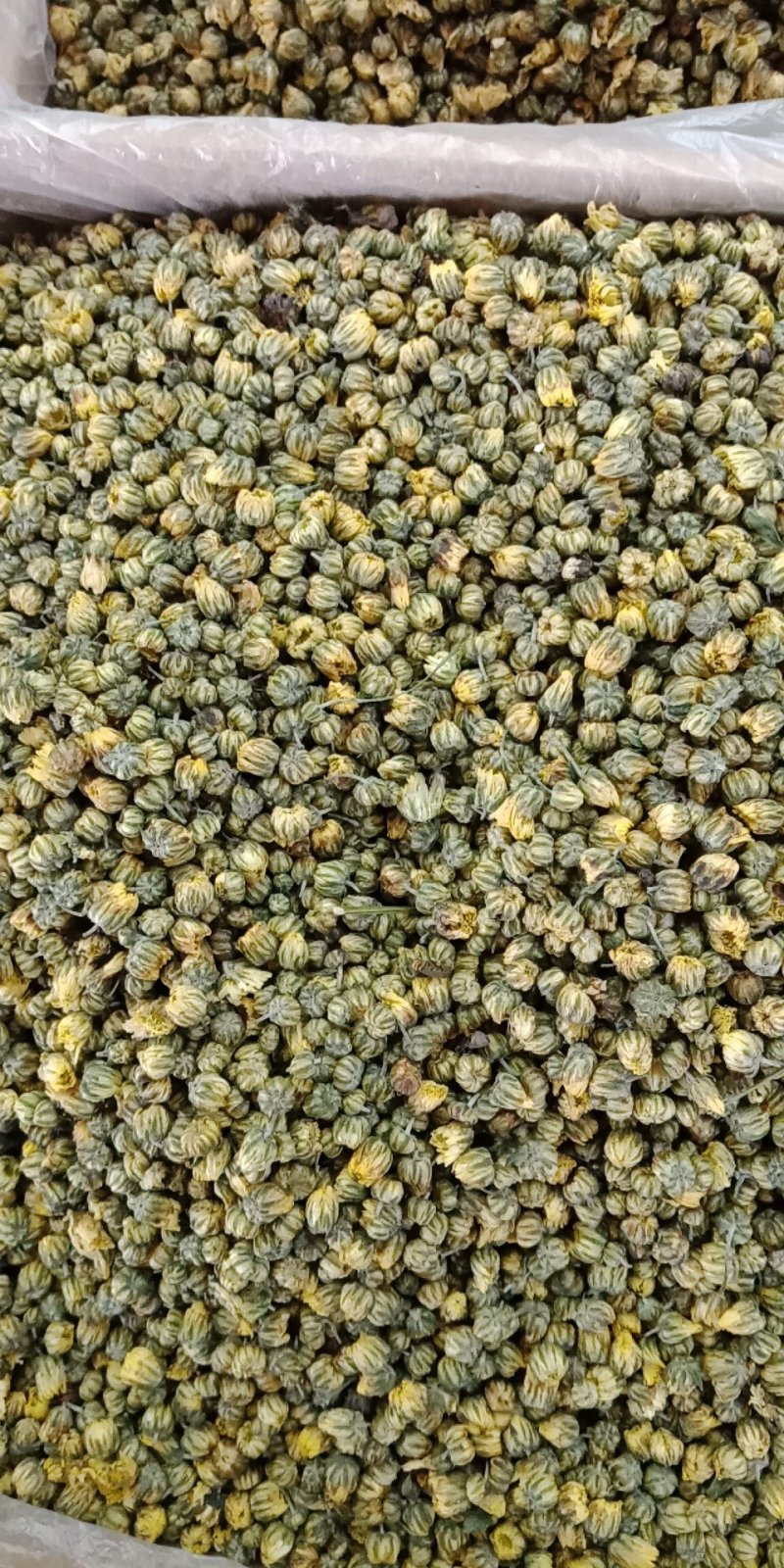 胎菊王各种规格批发胎菊米桐乡胎菊新货零售各种规格