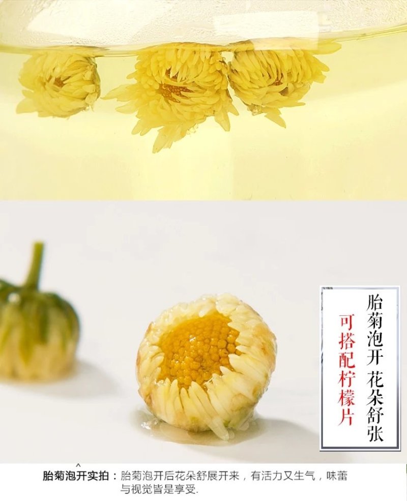 胎菊王各种规格批发胎菊米桐乡胎菊新货零售各种规格