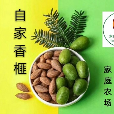 临安特产坚果干果香榧榧子山核桃