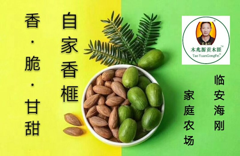 临安特产坚果干果香榧榧子山核桃
