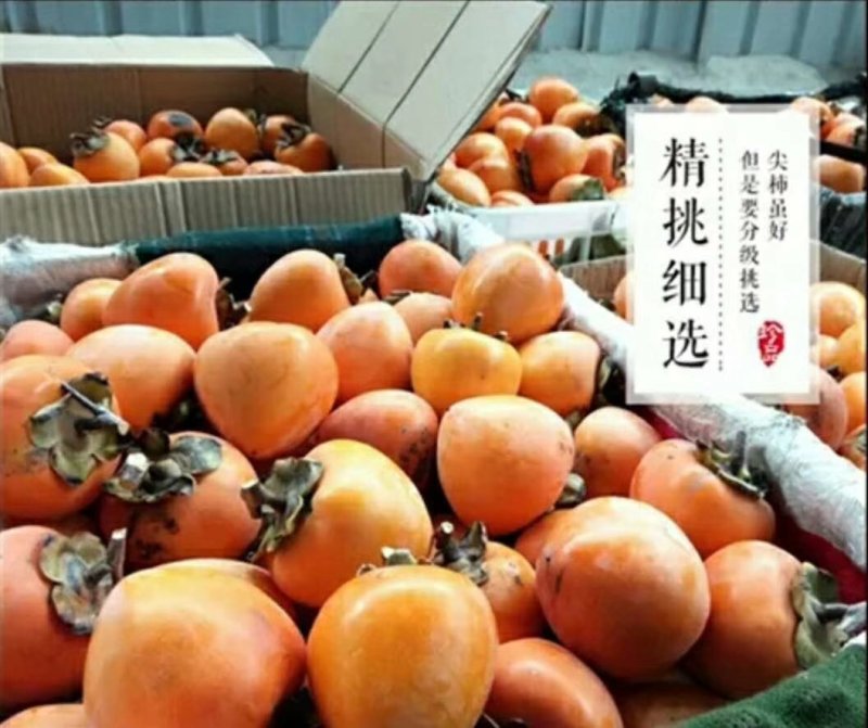 柿饼