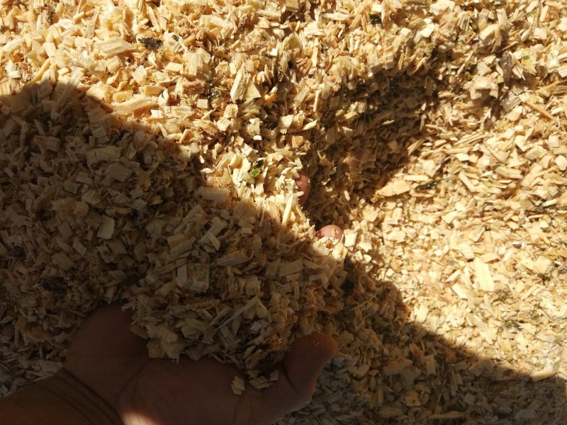 食用菌基地指导意见