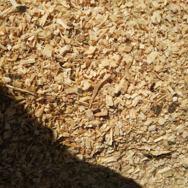 食用菌基地指导意见