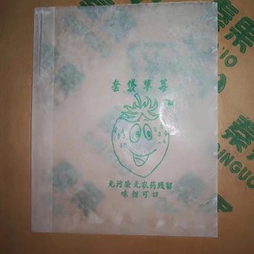 草莓袋桃子套袋葡萄套袋梨子套袋苹果套袋子
