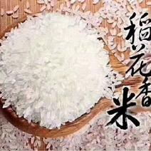 原产地，原生态，五常稻花香米。五常市喜来乐水稻种植专业合