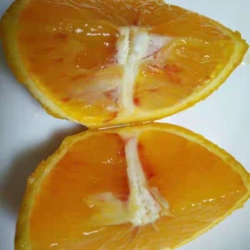 资中塔罗科血橙一件代发