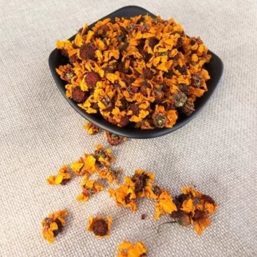 昆仑雪菊