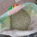 谷类作物，黑土地五谷杂粮，营养健康，欢迎订购品尝