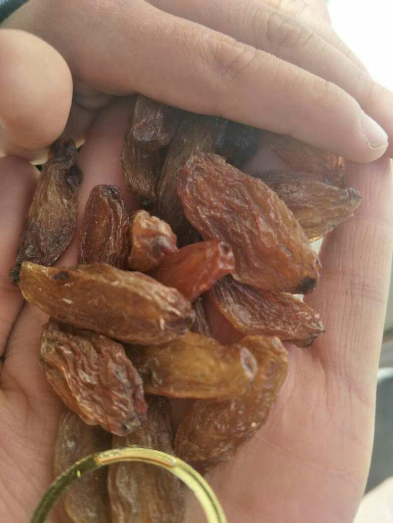 绿香妃，红香妃