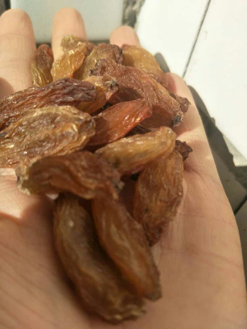 绿香妃，红香妃