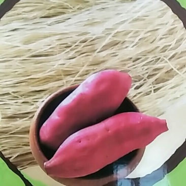 刘井纯红薯粉丝