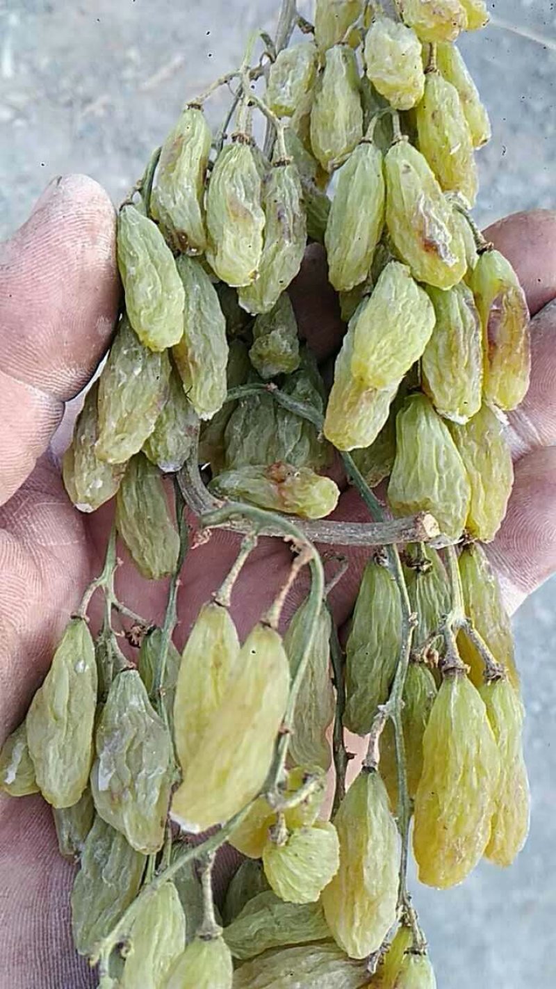 香妃